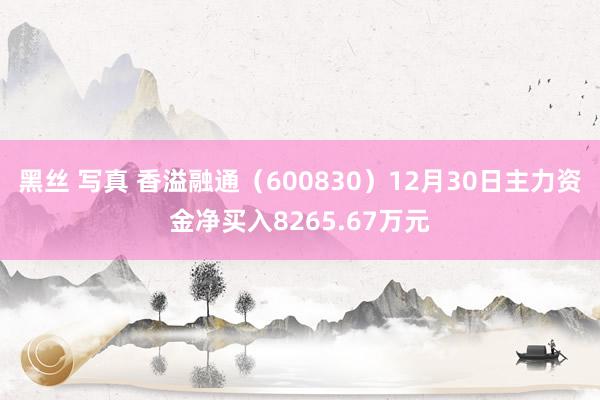 黑丝 写真 香溢融通（600830）12月30日主力资金净买入8265.67万元