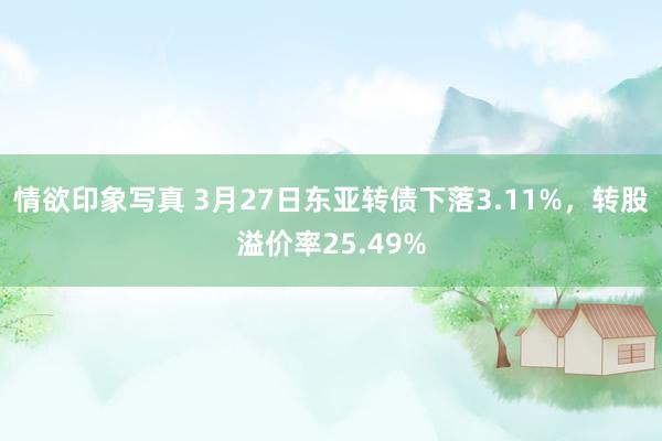 情欲印象写真 3月27日东亚转债下落3.11%，转股溢价率25.49%