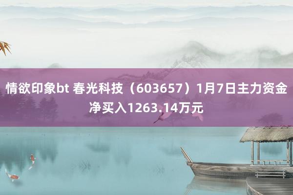 情欲印象bt 春光科技（603657）1月7日主力资金净买入1263.14万元