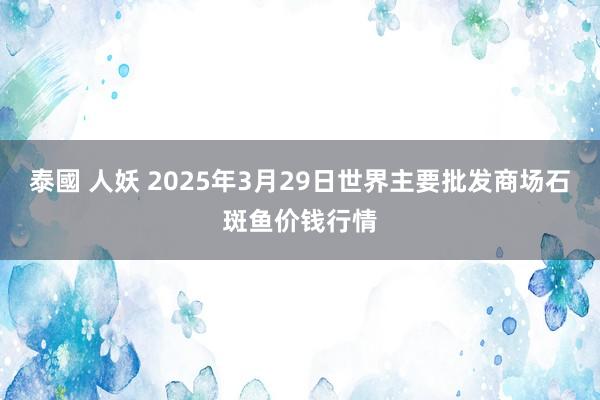 泰國 人妖 2025年3月29日世界主要批发商场石斑鱼价钱行情