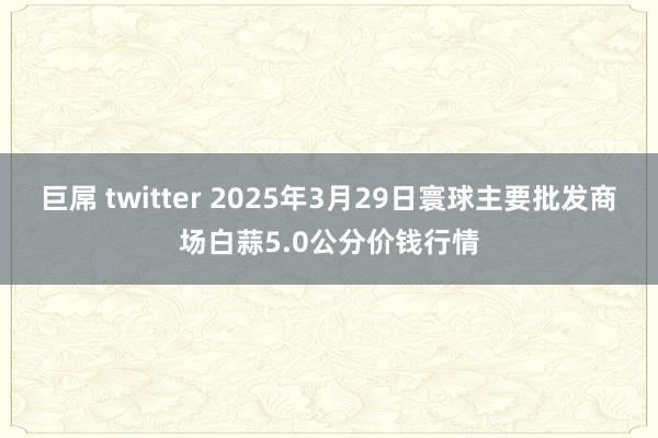 巨屌 twitter 2025年3月29日寰球主要批发商场白蒜5.0公分价钱行情