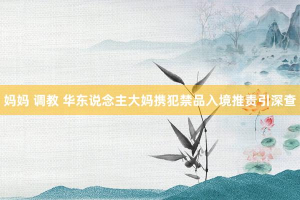 妈妈 调教 华东说念主大妈携犯禁品入境推责引深查