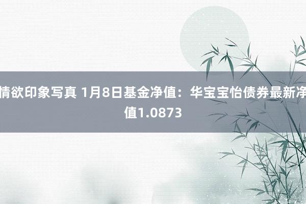 情欲印象写真 1月8日基金净值：华宝宝怡债券最新净值1.0873