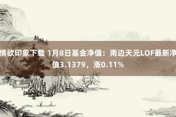 情欲印象下载 1月8日基金净值：南边天元LOF最新净值3.1379，涨0.11%
