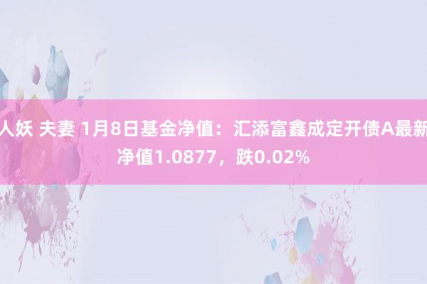 人妖 夫妻 1月8日基金净值：汇添富鑫成定开债A最新净值1.0877，跌0.02%