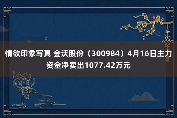 情欲印象写真 金沃股份（300984）4月16日主力资金净卖出1077.42万元