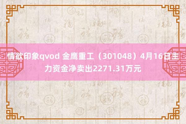 情欲印象qvod 金鹰重工（301048）4月16日主力资金净卖出2271.31万元