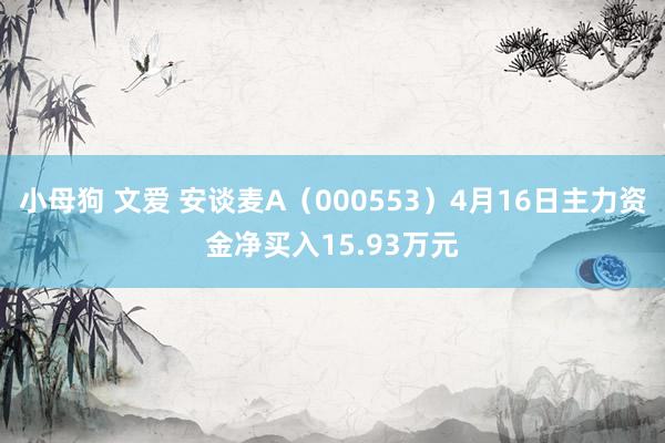 小母狗 文爱 安谈麦A（000553）4月16日主力资金净买入15.93万元
