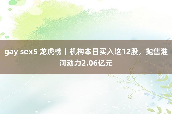 gay sex5 龙虎榜丨机构本日买入这12股，抛售淮河动力2.06亿元