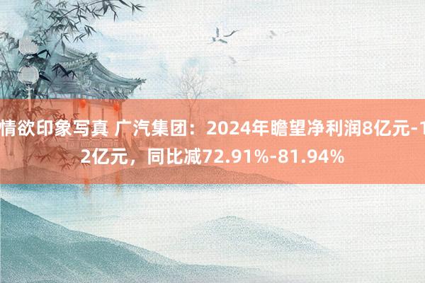 情欲印象写真 广汽集团：2024年瞻望净利润8亿元-12亿元，同比减72.91%-81.94%