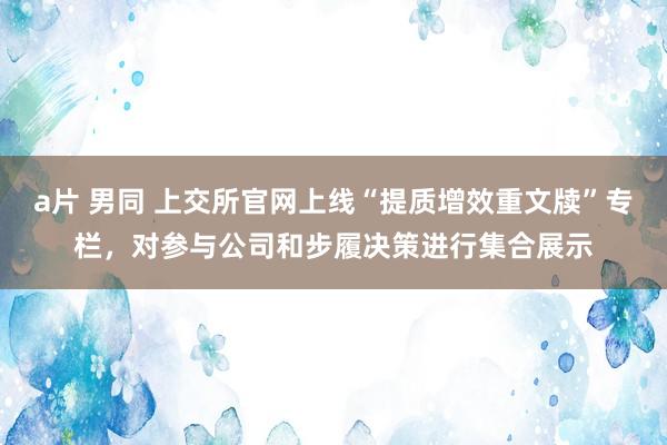 a片 男同 上交所官网上线“提质增效重文牍”专栏，对参与公司和步履决策进行集合展示