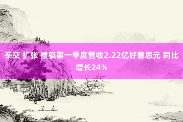 拳交 扩张 搜狐第一季度营收2.22亿好意思元 同比增长24%
