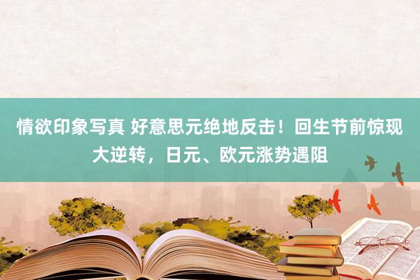 情欲印象写真 好意思元绝地反击！回生节前惊现大逆转，日元、欧元涨势遇阻