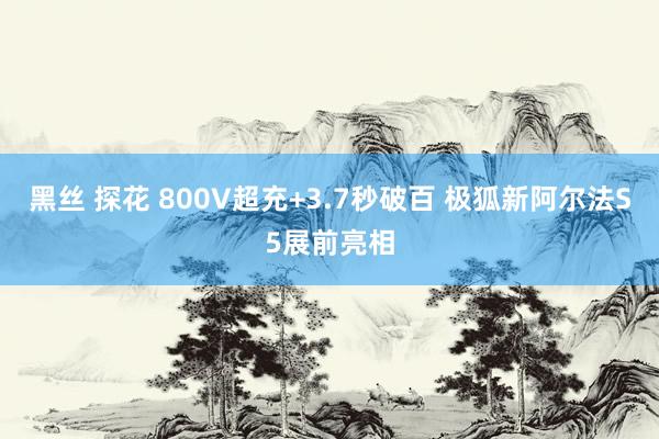 黑丝 探花 800V超充+3.7秒破百 极狐新阿尔法S5展前亮相