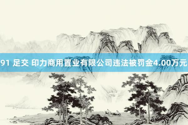 91 足交 印力商用置业有限公司违法被罚金4.00万元