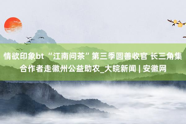 情欲印象bt “江南问茶”第三季圆善收官 长三角集合作者走徽州公益助农_大皖新闻 | 安徽网