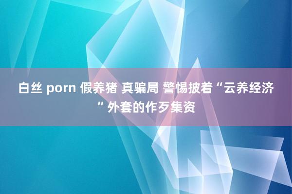 白丝 porn 假养猪 真骗局 警惕披着“云养经济”外套的作歹集资