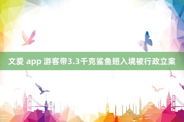 文爱 app 游客带3.3千克鲨鱼翅入境被行政立案