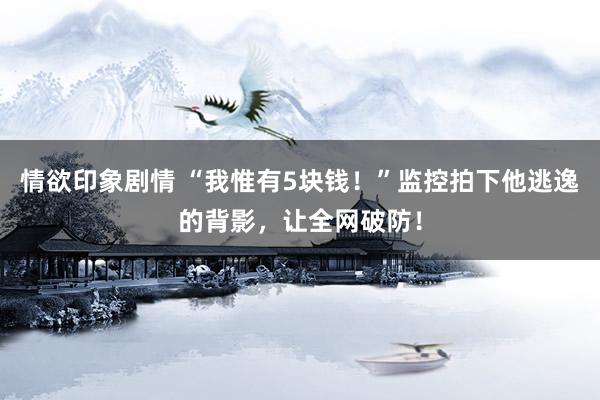 情欲印象剧情 “我惟有5块钱！”监控拍下他逃逸的背影，让全网破防！