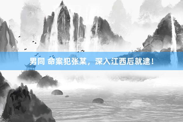 男同 命案犯张某，深入江西后就逮！
